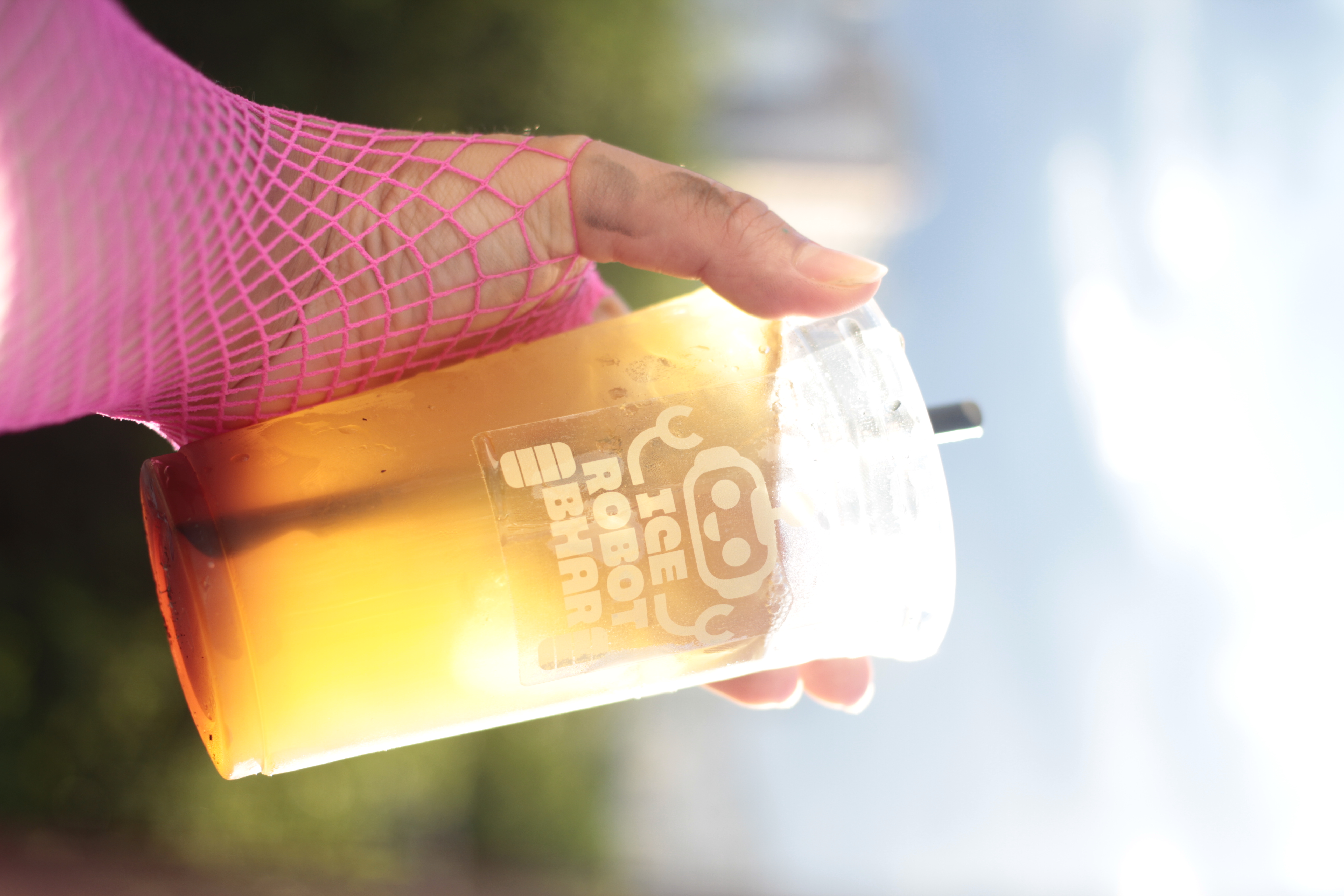 CARNA ICE ROBOT BHAR LAICOS